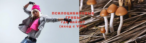 PSILOCYBIN Армянск