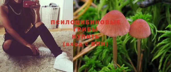 спиды Алексин