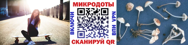 Галлюциногенные грибы мицелий  Болхов 